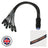 Elumen8 powerCON TRUE1 – Socapex 19-Pin Female 2.5mm Fan-In Cable - Main View
