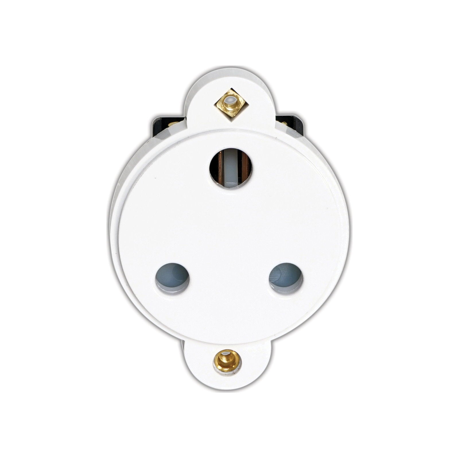 Robolights 15A Socket Insert White (15APS/W) - Main View