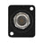 Seetronic BNC Female Chassis Connector Black SBB75DFGX-B - Back Panel and Connections