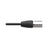 Neutrik XLR 5-Pin Male Plug NC5MX1-TOP-14 - Back Panel and Connections