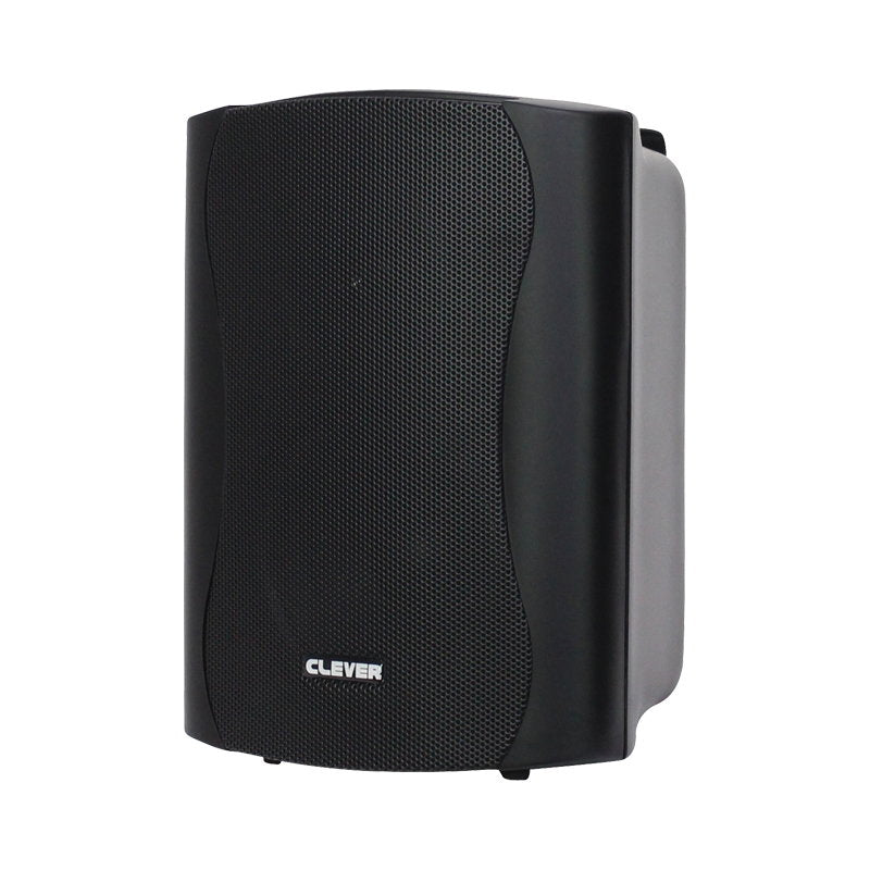 Clever Acoustics BGS 25 Black 8 Ohm Speakers (Pair) - Back Panel and Connections