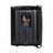 Clever Acoustics BGS 25 Black 8 Ohm Speakers (Pair) - Alternate View 1