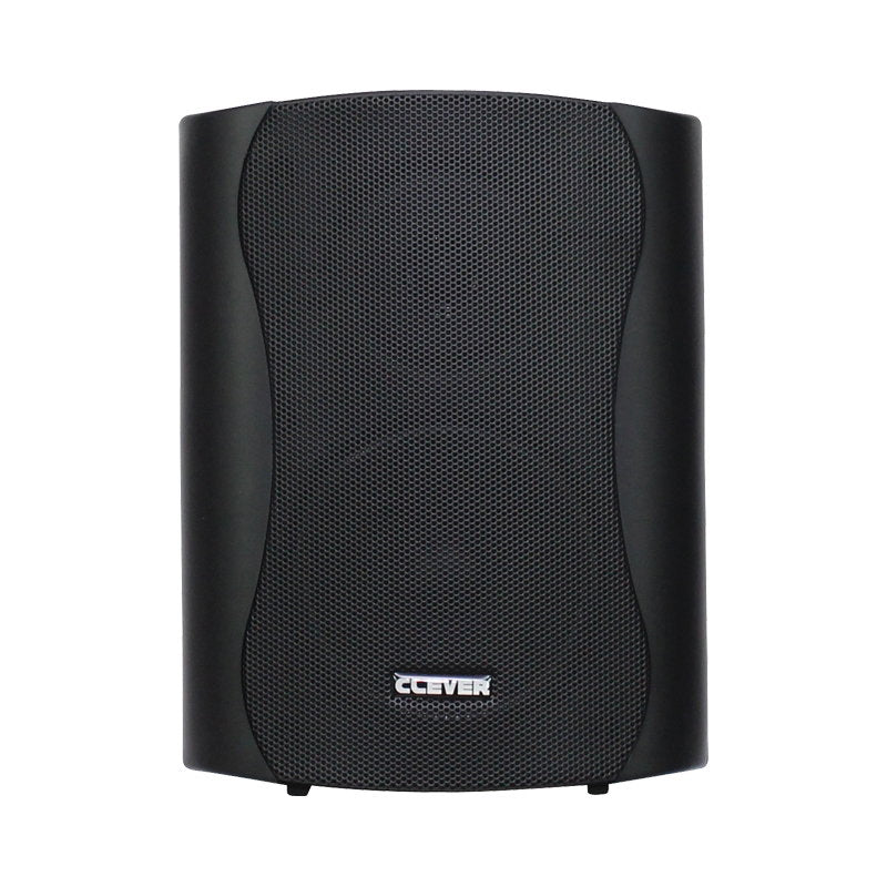 Clever Acoustics BGS 25T Black 100V Speakers (Pair) - Alternate View 3