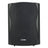 Clever Acoustics BGS 50T Black 100V Speakers (Pair) - Main View