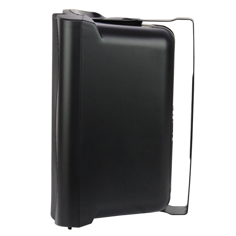 Clever Acoustics BGS 50T Black 100V Speakers (Pair) - Alternate View 1