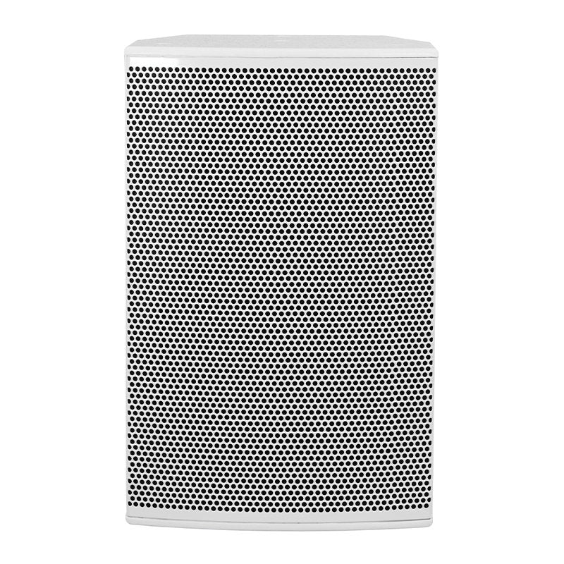Clever Acoustics SVT 250 White Speaker - Back Panel and Connections