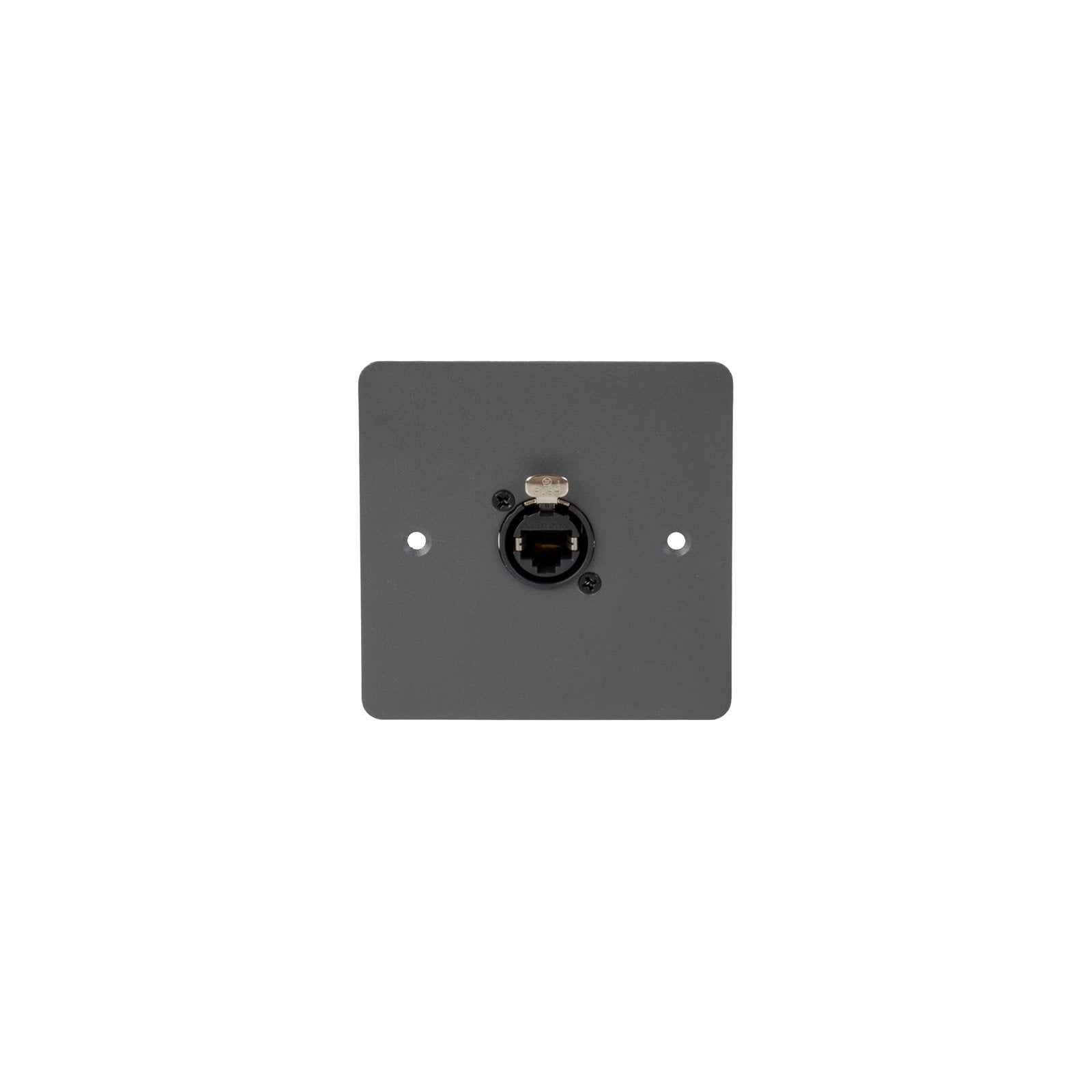 Venutec Cygnus WP2 Ethernet Wall Plate - Alternate View 1