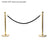 Elumen8 Gold Barrier Pole - Main View