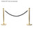 Elumen8 Gold Barrier Rope Black Velvet - Main View