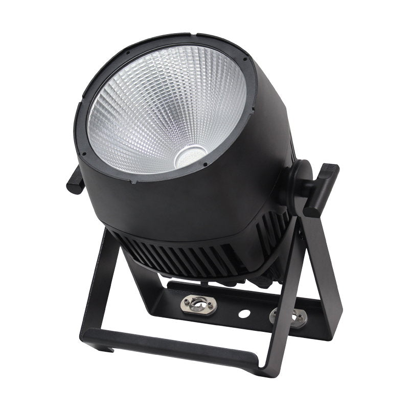 Elumen8 Endura UV100 COB Exterior Fixture - Alternate View 3