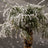 Elumen8 Storm 600 Snow Machine - Alternate View 18