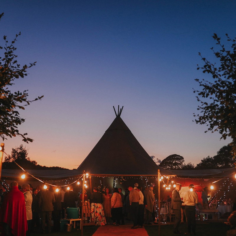 PCE 100m BC Festoon 1m Spacing - Alternate View 4