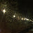 PCE 50m BC Festoon 3m Spacing - Alternate View 1