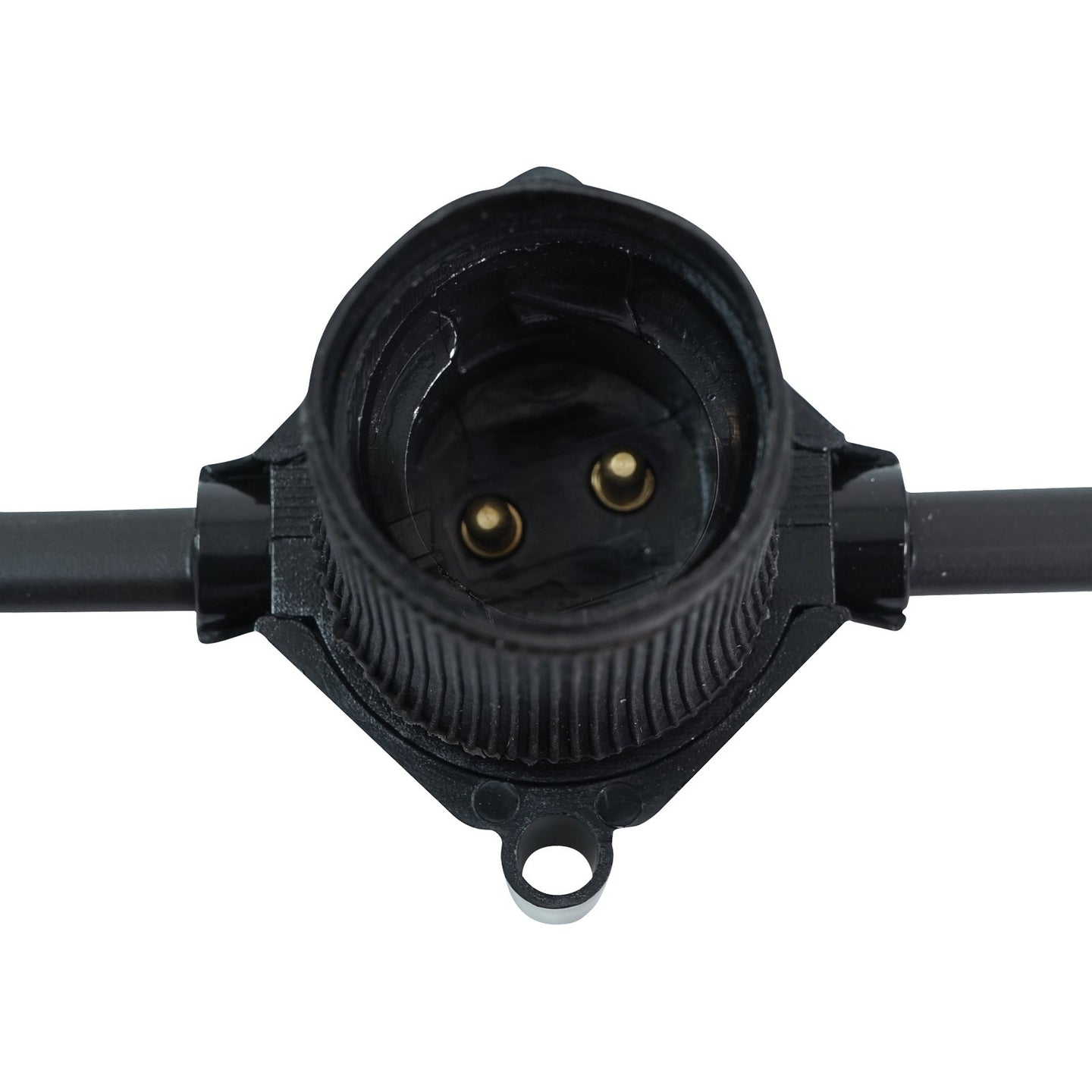 PCE 50m BC Festoon 3m Spacing - Back Panel and Connections