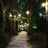 PCE 100m ES Festoon 3m Spacing - Alternate View 1