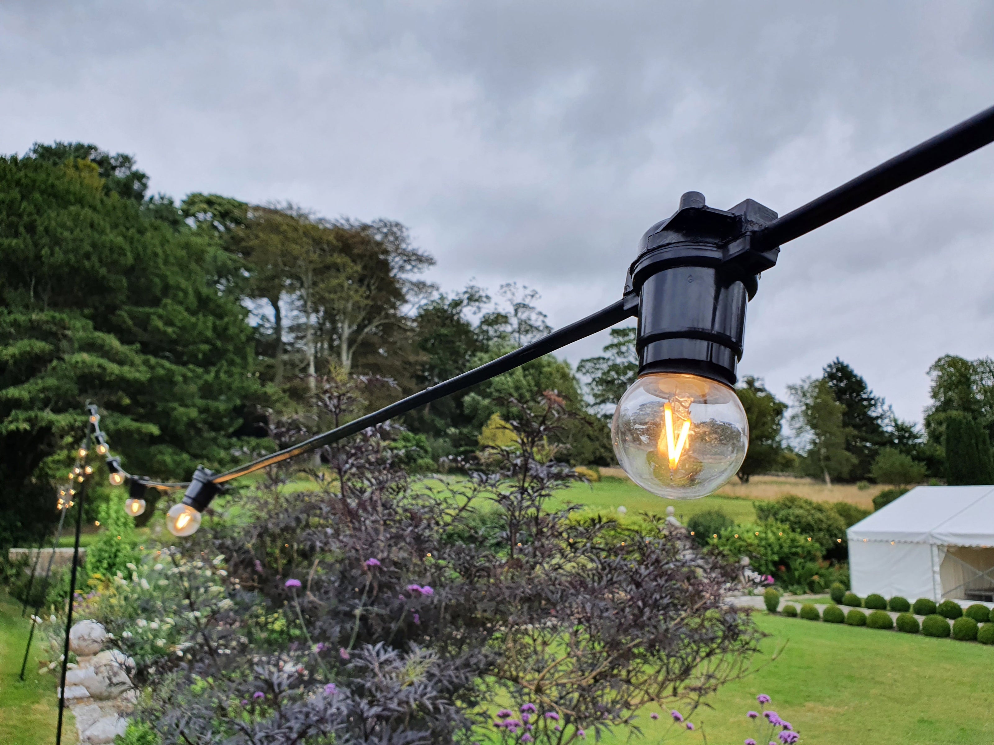 Prolite 2W Dimmable LED Filament Golf Ball Polycarbonate Lamp 2700K BC - Back Panel and Connections