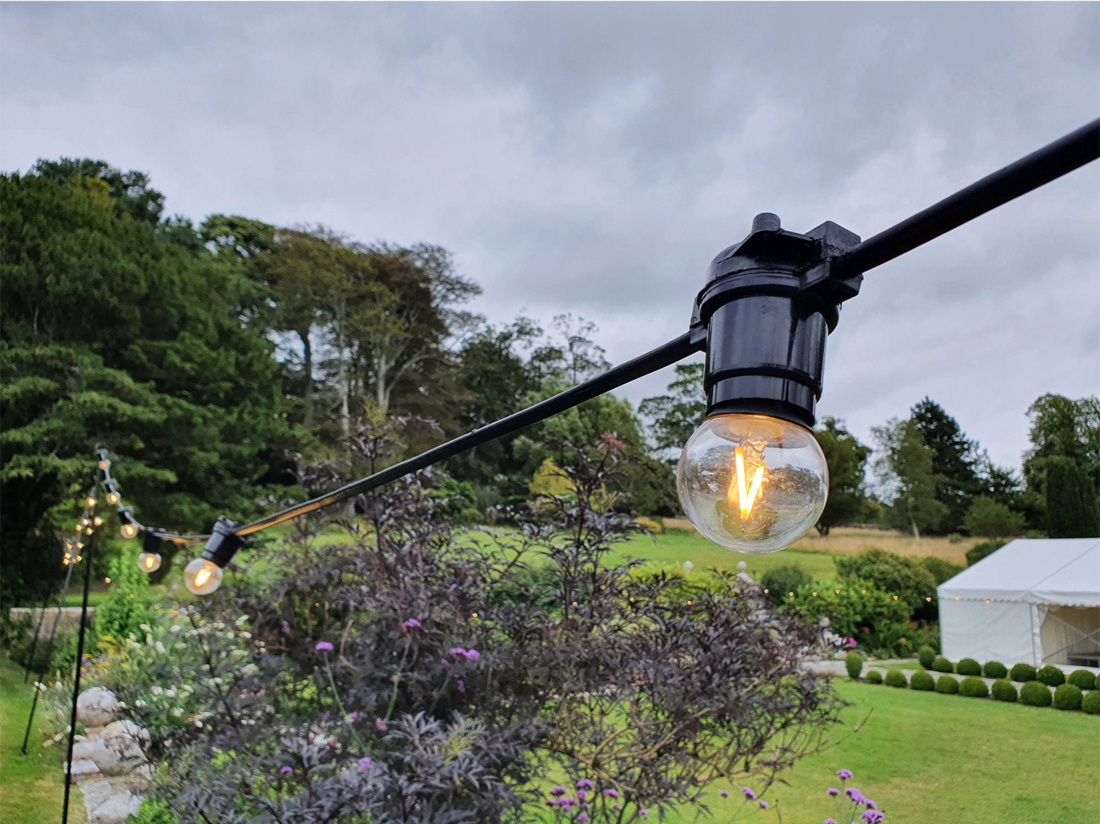 Prolite 2W Dimmable LED Filament Golf Ball Polycarbonate Lamp 2700K ES - Back Panel and Connections