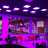 LEDJ Visio LP 600RGB LED Panel - Alternate View 6