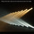 LEDJ Stage Par CZ 100 3000K - Alternate View 3