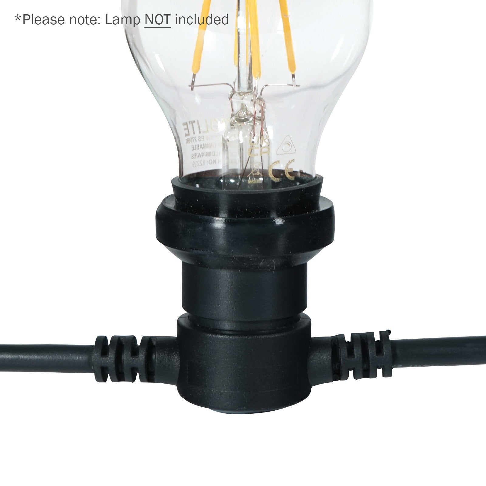 LEDJ 25m ES Festoon 1m Spacing - Back Panel and Connections