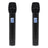 W Audio RM 30T Twin UHF Handheld Radio Microphone System (863.1Mhz/864.8Mhz) - Back Panel and Connections