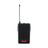 W Audio RM Quartet Beltpack Kit (864.99Mhz) - Back Panel and Connections