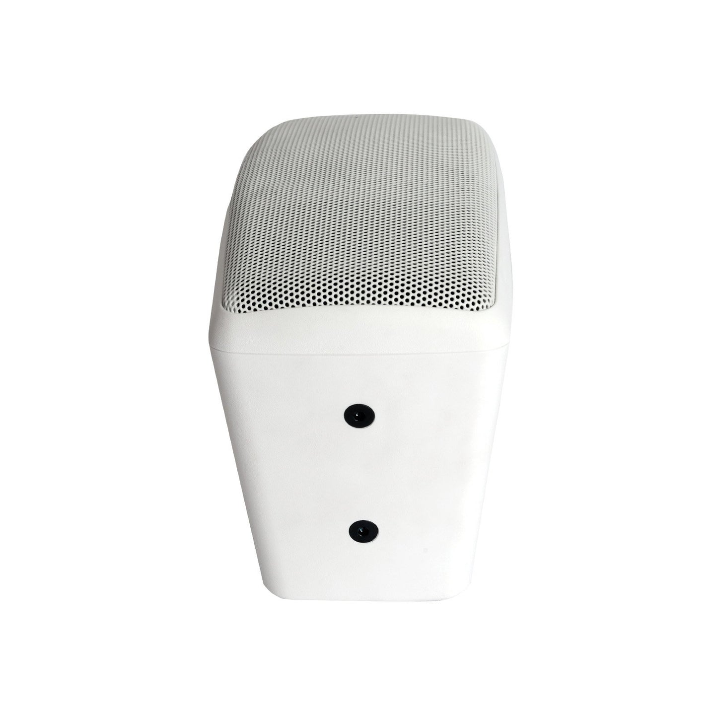 W Audio BMS204T Speaker White - Main View
