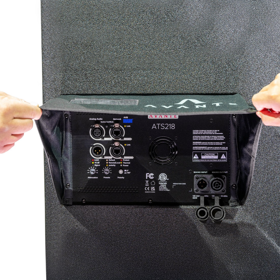 Avante Akro ATS218 Sub - Back Panel and Connections