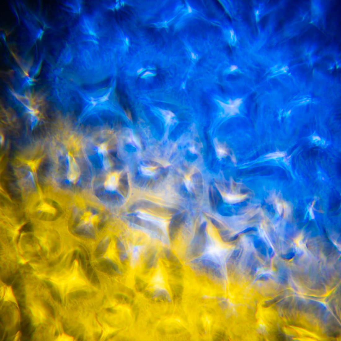 ADJ H2O Two - Alternate View 1